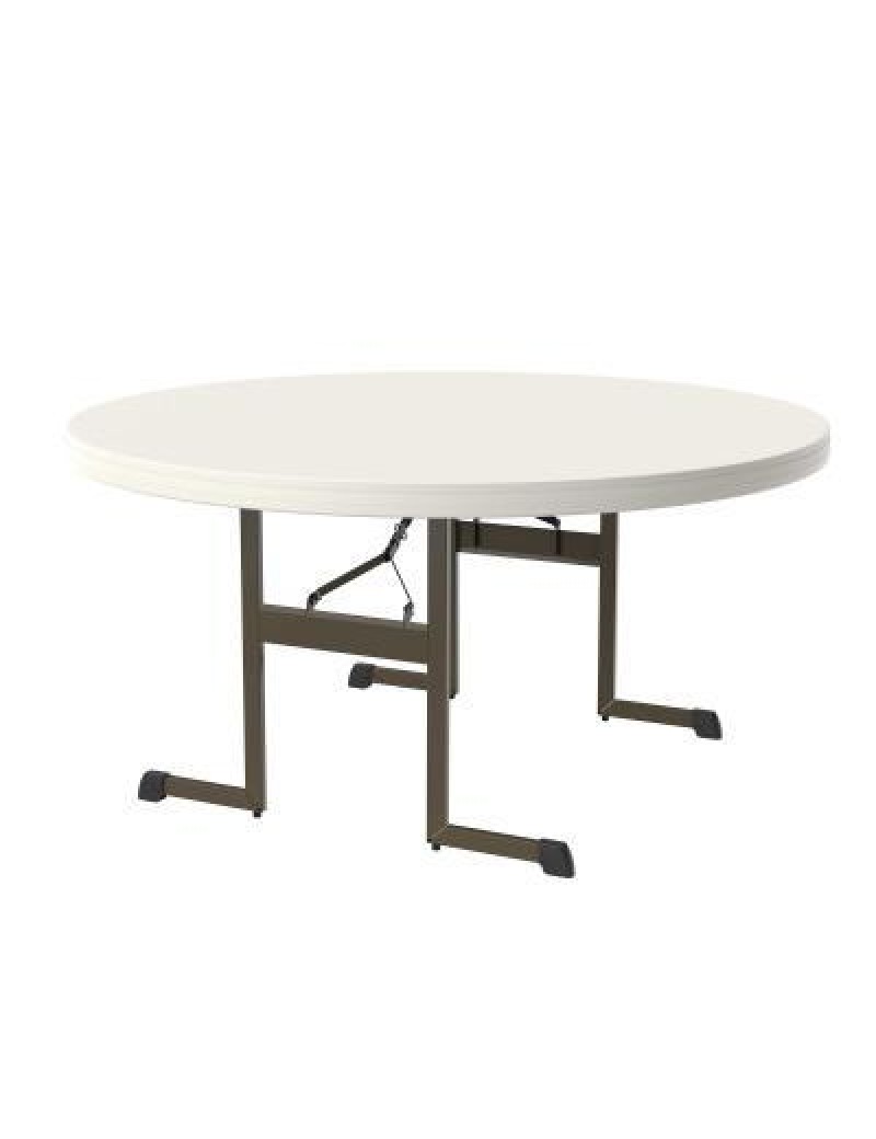 60-Inch Round Table (Professional) 204